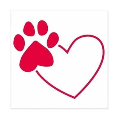 skylar02298's profile picture. i giggle 🤭.... then i get naughty, 🤤😍