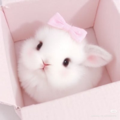 oneandfirst0's profile picture. #Dek69 / I luv gay (westie)🐰🤍🧸