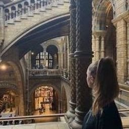 Yglirouquf1704's profile picture. 