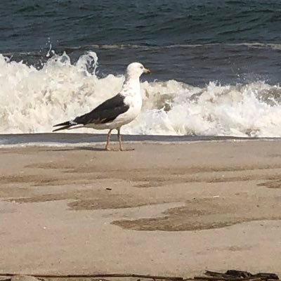 JohnBouchekano's profile picture. 