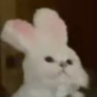 cuet2pupii's profile picture. 