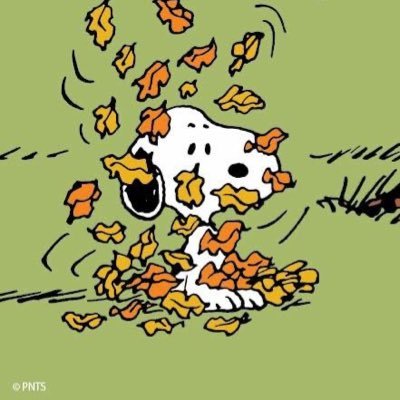 th_louvre's profile picture. 