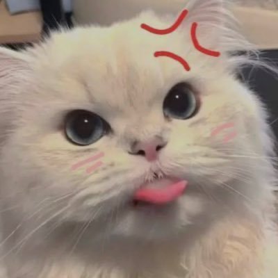 rujira_toon's profile picture. 