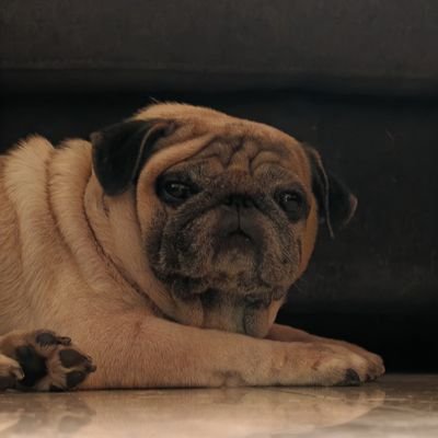 JohlSoheel's profile picture. We live onced so enjoy every moment