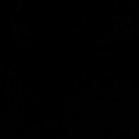 loulaaaaaaaaa's profile picture. 🇵🇸