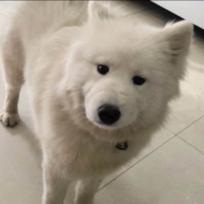 Lynn5470001's profile picture. 