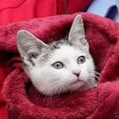 Butterbean2024's profile picture. 