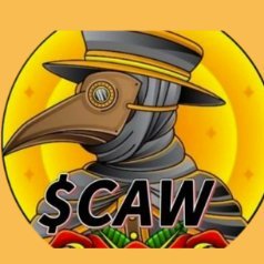 CAW6206's profile picture. 