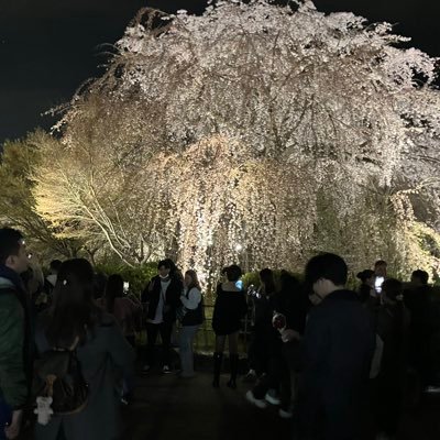 ZdpeBNcY0R85202's profile picture. 