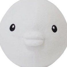 fuck_fugukujira's profile picture. VOCAL / フグ鯨