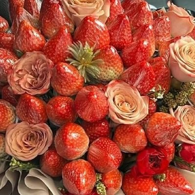 mira_edina's profile picture. 25