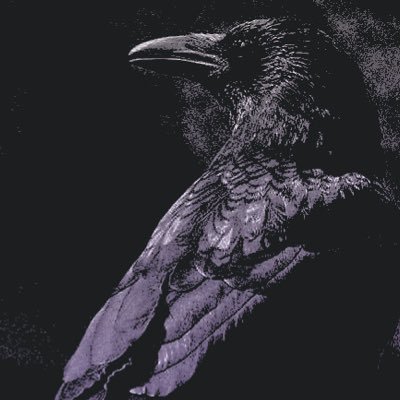 GOSSIPWIC's profile picture. ⠀⠀⠀⠀ ⠀⠀⠀⠀ ⠀⠀⠀⠀ ⠀⠀⠀⠀🐦‍⬛ ⠀ ╱ ⠀gossip ⠀de ⠀⠀⠀⠀ ⠀⠀⠀⠀ ⠀⠀⠀ ⠀⠀⠀⠀ ⠀⠀⠀⠀ ⠀@WINTERISCOMVNG ⠀⠀⠀⠀ ⠀⠀⠀⠀ ⠀⠀⠀⠀