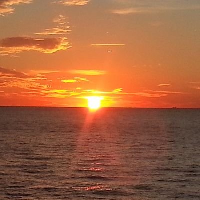 VilanVidal89448's profile picture. 