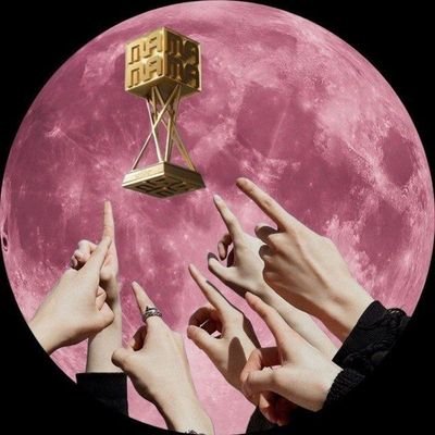 alenalaer7's profile picture. 