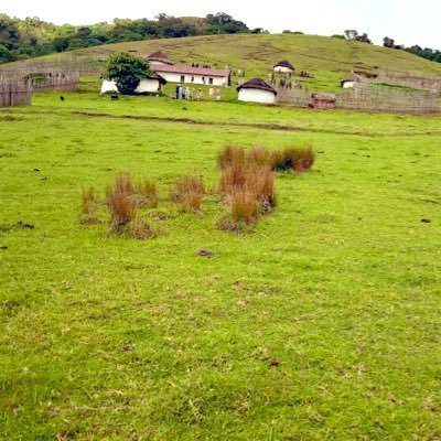 AMADUBU143909's profile picture. 