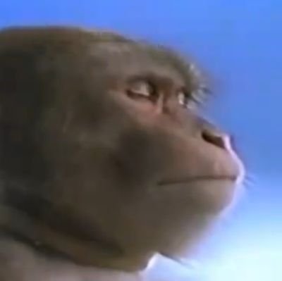 KyyKozeeks's profile picture. @sorivalabs building a pretty apps