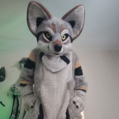 zacharygraywolf's profile picture. oasar veach 🐺🐾💛🫶 best friend Love you ❤️💗