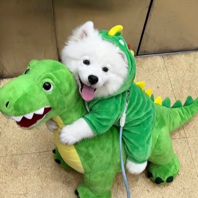 flymemydear's profile picture. ⋆˚🐾˖° 𝗒𝗈𝗎 𝗌𝗁𝗂𝗇𝗂𝗇𝗀 𝗅𝗂𝗄𝖾 𝖺 𝖻𝗋𝗂𝗀𝗁𝗍𝖾𝗇𝗂𝗇𝗀 𝗌𝗍𝖺𝗋 𝗂𝗇 𝗍𝗁𝖾 𝗌𝗄𝗒 .☘︎ ݁˖