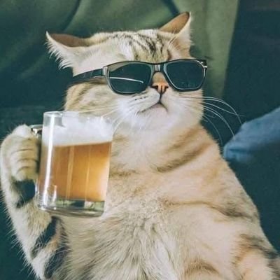 daniorerioo's profile picture. 