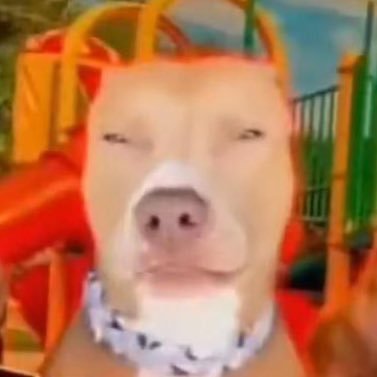 FreezyLemonade4's profile picture. FreezyLemonade on BOTH Rym and AOTY - Old FreezyLemonade hacked