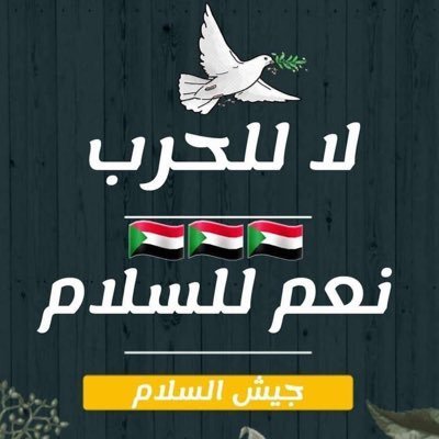 nezoneel10's profile picture. السودان أولاً 🇸🇩
