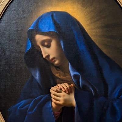 sakana_rei's profile picture. 素敵なものを見ていたい独り言アカウント。いつもは鍵垢に籠ってますのでここにいません。フォロー返さなくて大丈夫です。天安門事件って入れるとスパム寄らないってホントですかね