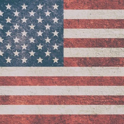 wepollX's profile picture. Simple X polls direct to the people.