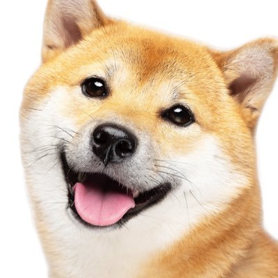 papa3tk's profile picture. Aimerさん、RIRIKO/NELKE、ClariS、miletさんの音楽が好きです。愛車は、GR86RZ。 北海道の高校数学教師。久々にXに戻りましたが、細々と推し活していきます！！  音楽や車、食べログ的なポストをしていきます😊