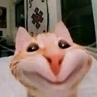 yu_luo60041's profile picture. love painting ❤️‍🔥
沉溺BL☻️