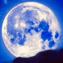 lphp81iaIq97472's profile picture. 