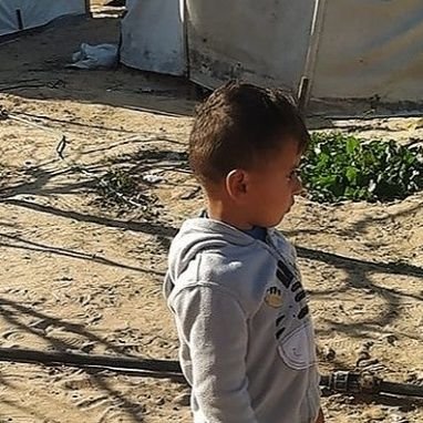 mahmoud1787726's profile picture. Am Alaa from Gaza and my son name is Mahmoud I had many Twitter accounts but they all got closed so I made this one under my son name
Support our campaign link
