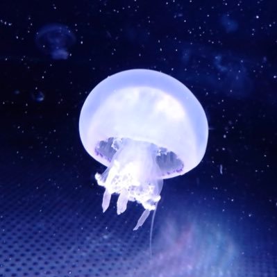 muta_Ekak1's profile picture. 18↑
AI描画師はブロック&お断り
要相談で有償依頼受け付けてます