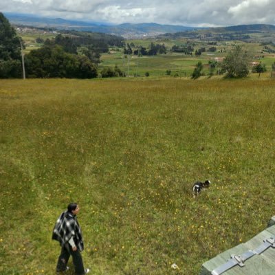 mbh_laura's profile picture. No soy buena definiéndome en unos cuantos renglones