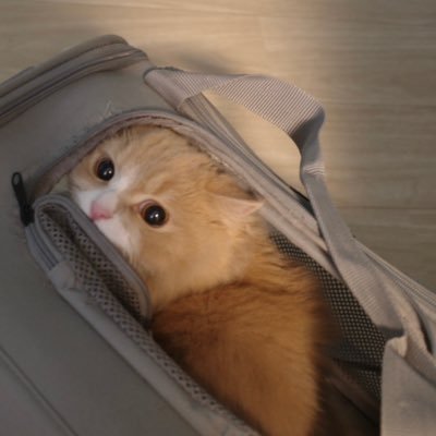 dh_dp2k's profile picture. 