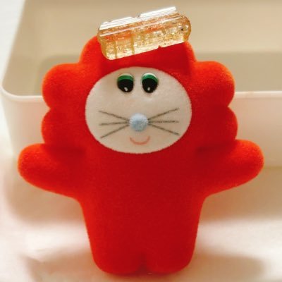 __________ntk's profile picture. 🐈🎸📚🦉🐨👗📷🔮かわいいポンコツです♡