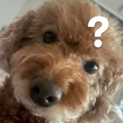 IS2KYS's profile picture. 