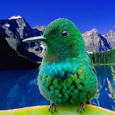 mint_dove's profile picture. 