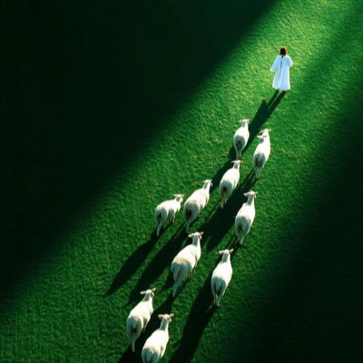 CeoToksfit's profile picture. God is the greatest and forever faithful💪🏼💪🏼💪🏼💪🏼💪🏼 #OnGod. #Fashion designers #imperfectGentleman_Romans.828-30,Proverbs.3:5&6