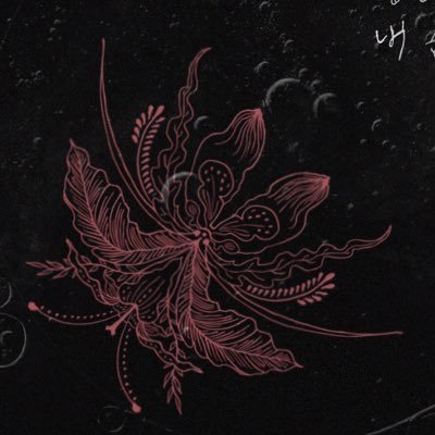 solduck09's profile picture. @The_solutions1 찍은거 올리고 오열할겁니다..