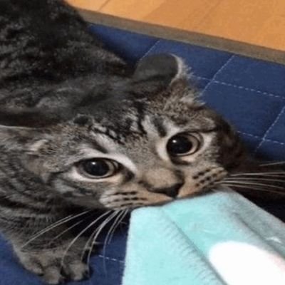 obwessiv's profile picture. quiet & awkward asf