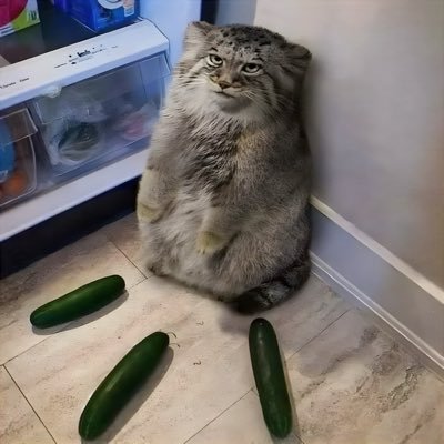 iranyaadee's profile picture. S×1A×7 H⭐️100！サブ@uraizana