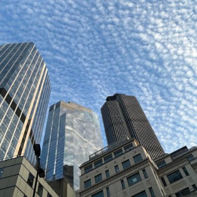 Diana957811's profile picture. All the efforts you make today are so that your future self will be grateful to you now.