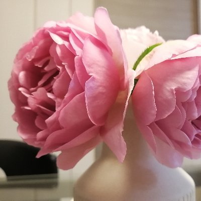 marie9_9's profile picture. 2025.10、青春スターでカズタさんを知り、Love shot で沼に。 ...|•,,)♥
n.SSign の曲も大好き！(勉強中です)
ソンユン、ハンジュンも好き