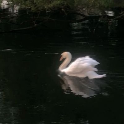 filteredkash_'s profile picture. 