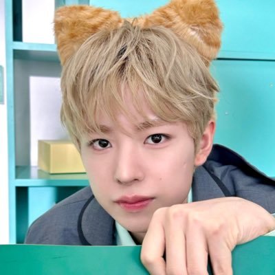 kucingsukses100's profile picture. 