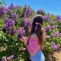 Lieqou827's profile picture. 