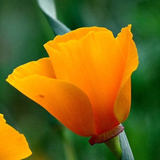 Lindseyyork77's profile picture. 