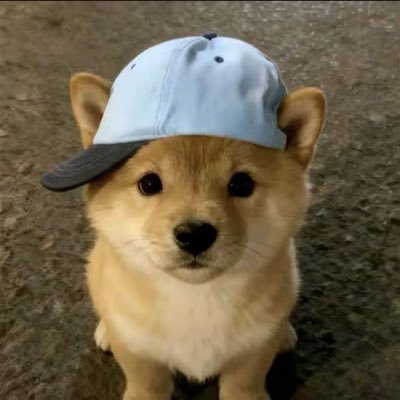 CJames491839's profile picture. 