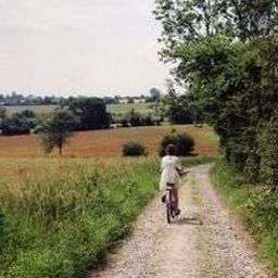 Twuiawwek44442's profile picture. 