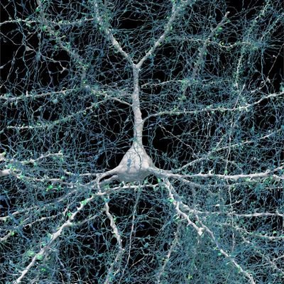 tutissus's profile picture. - Uma célula nervosa buscando conexões -

Na experiência da vida.
O amor é uma dádiva.
E todas as mulheres são lindas 🧡💛💜🩷❤️